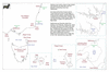 sta43 sydney to tasmania_thumb.gif